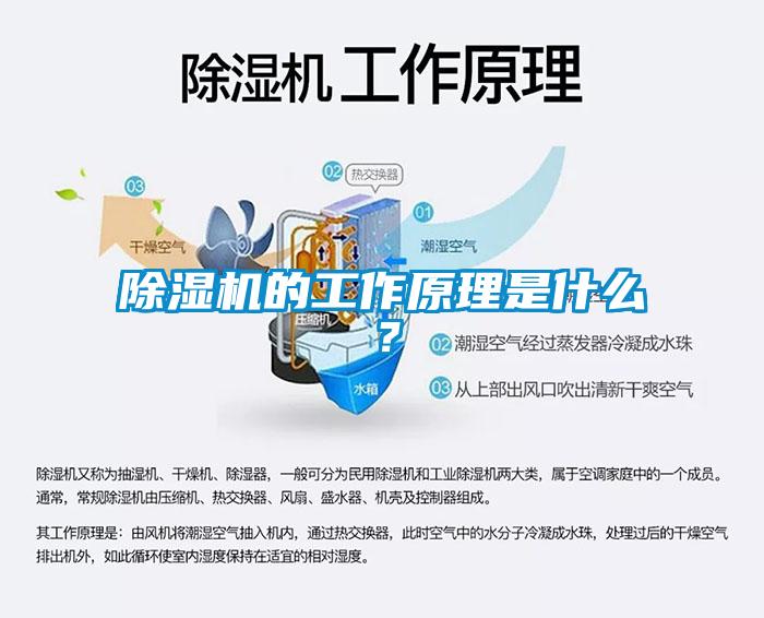 除濕機(jī)的工作原理是什么？