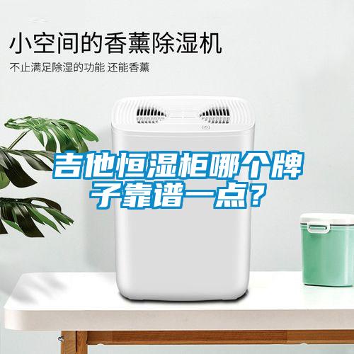 吉他恒濕柜哪個(gè)牌子靠譜一點(diǎn)？