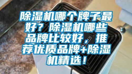 除濕機(jī)哪個(gè)牌子最好？除濕機(jī)哪些品牌比較好，推薦優(yōu)質(zhì)品牌+除濕機(jī)精選！