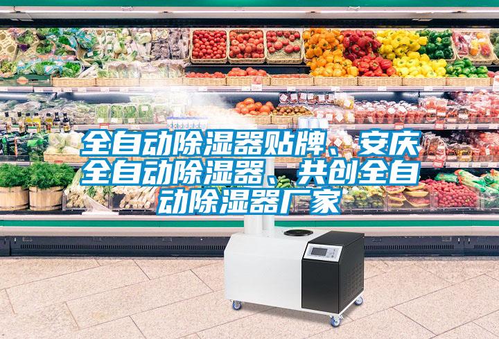 全自動(dòng)除濕器貼牌、安慶全自動(dòng)除濕器、共創(chuàng)全自動(dòng)除濕器廠家
