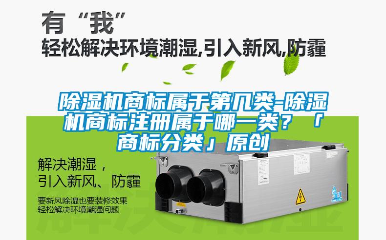 除濕機(jī)商標(biāo)屬于第幾類-除濕機(jī)商標(biāo)注冊屬于哪一類？「商標(biāo)分類」原創(chuàng)