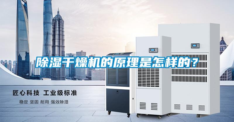 除濕干燥機的原理是怎樣的？