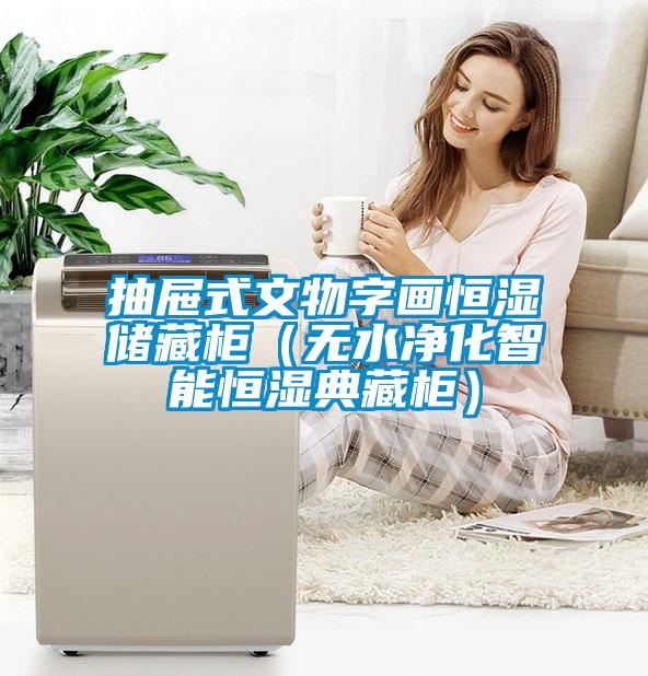 抽屜式文物字畫(huà)恒濕儲(chǔ)藏柜（無(wú)水凈化智能恒濕典藏柜）