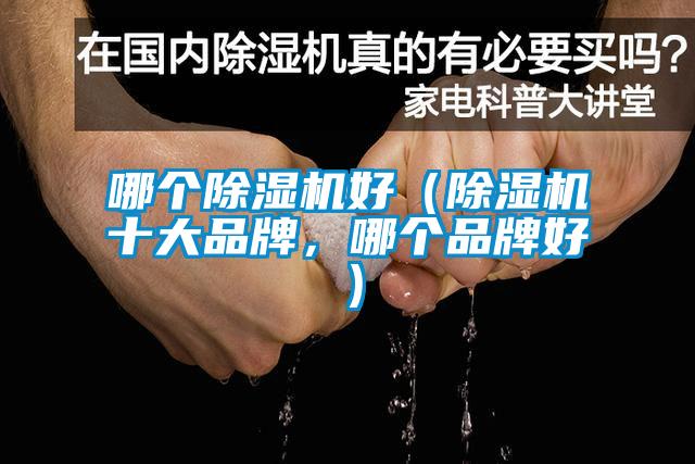 哪個除濕機好（除濕機十大品牌，哪個品牌好）