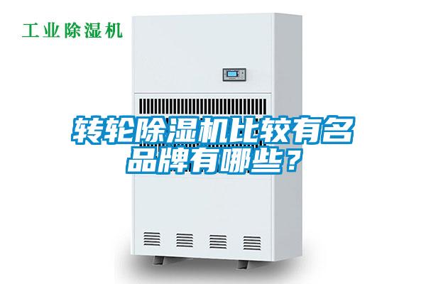 轉(zhuǎn)輪除濕機(jī)比較有名品牌有哪些？