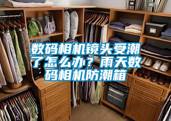 數(shù)碼相機(jī)鏡頭受潮了怎么辦？雨天數(shù)碼相機(jī)防潮箱
