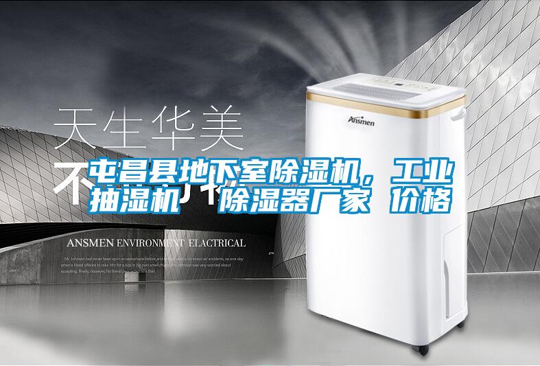 屯昌縣地下室除濕機(jī)，工業(yè)抽濕機(jī)  除濕器廠家 價(jià)格