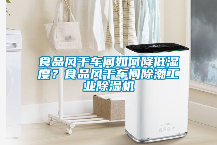 食品風(fēng)干車間如何降低濕度？食品風(fēng)干車間除潮工業(yè)除濕機(jī)