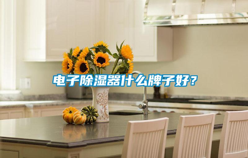 電子除濕器什么牌子好？