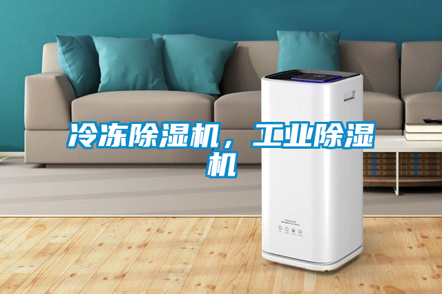 冷凍除濕機，工業(yè)除濕機