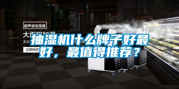 抽濕機什么牌子好最好，最值得推薦？