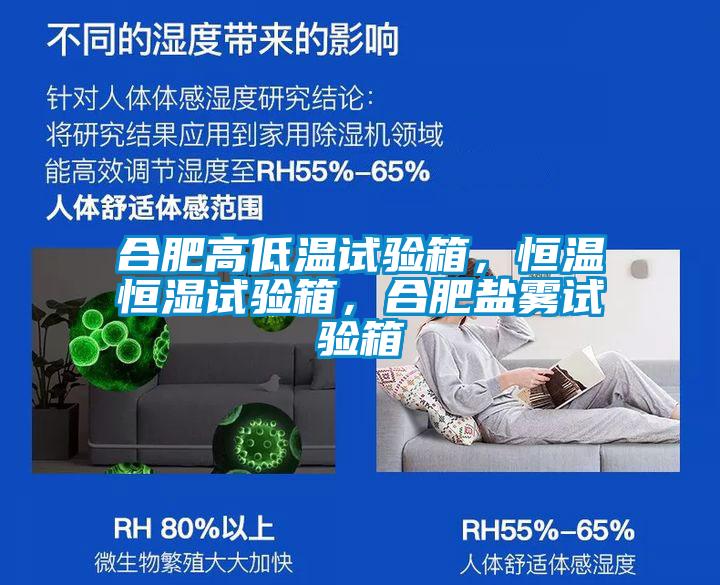 合肥高低溫試驗(yàn)箱，恒溫恒濕試驗(yàn)箱，合肥鹽霧試驗(yàn)箱