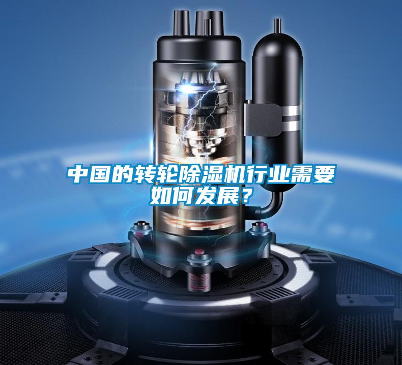中國的轉(zhuǎn)輪除濕機(jī)行業(yè)需要如何發(fā)展？