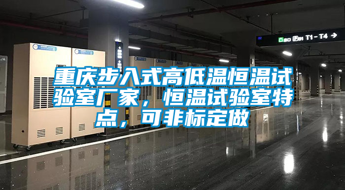 重慶步入式高低溫恒溫試驗室廠家，恒溫試驗室特點，可非標(biāo)定做