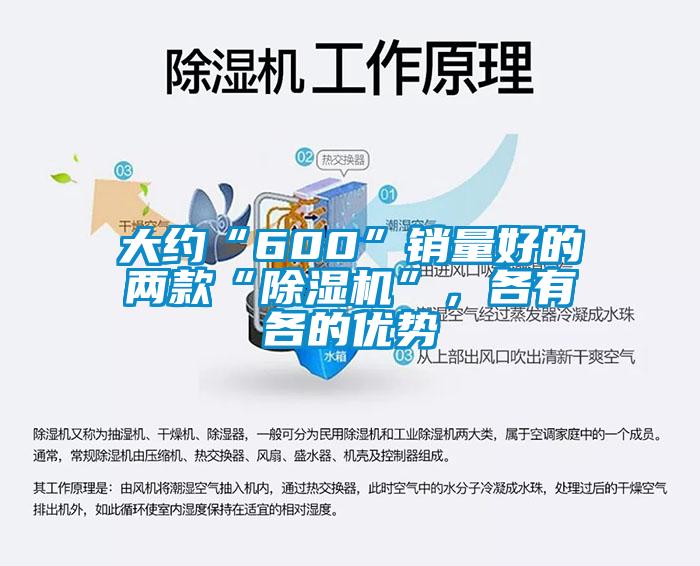 大約“600”銷量好的兩款“除濕機”，各有各的優(yōu)勢