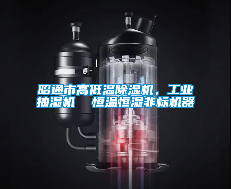 昭通市高低溫除濕機，工業(yè)抽濕機  恒溫恒濕非標機器