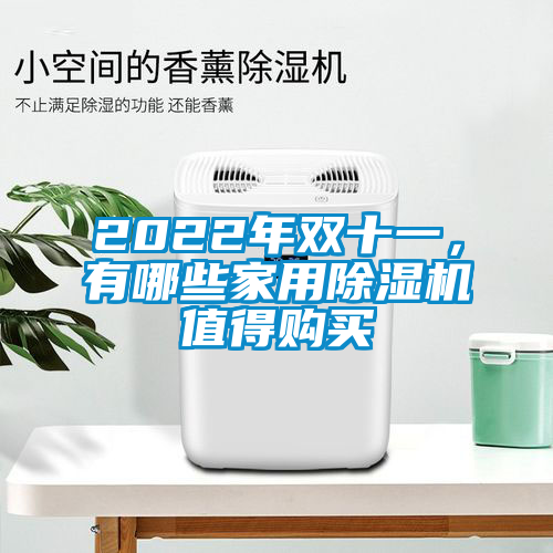 2022年雙十一，有哪些家用除濕機(jī)值得購(gòu)買