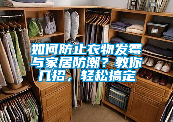 如何防止衣物發(fā)霉與家居防潮？教你幾招，輕松搞定