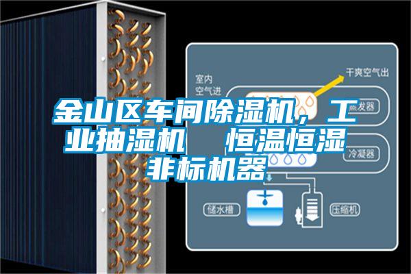 金山區(qū)車間除濕機(jī)，工業(yè)抽濕機(jī)  恒溫恒濕非標(biāo)機(jī)器