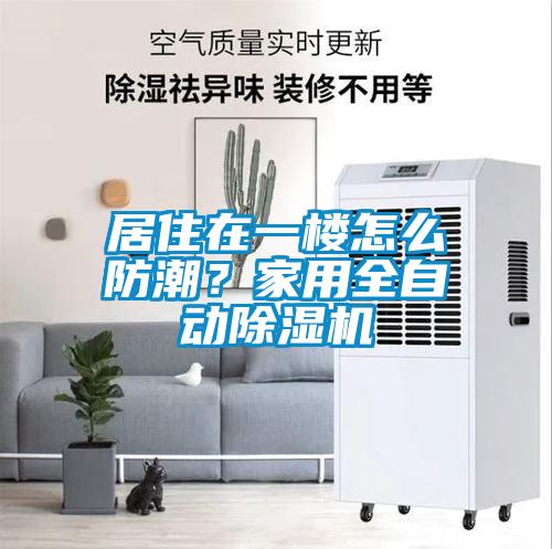 居住在一樓怎么防潮？家用全自動除濕機