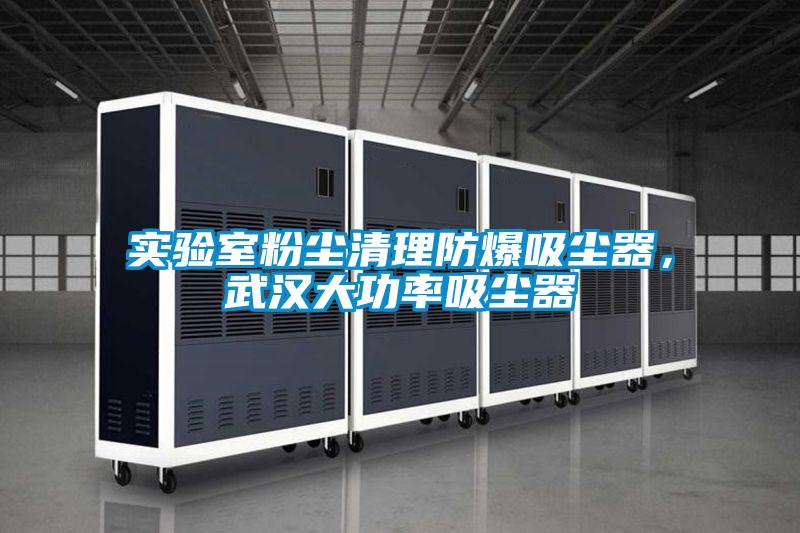 實(shí)驗(yàn)室粉塵清理防爆吸塵器，武漢大功率吸塵器