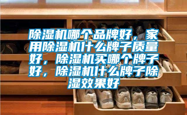 除濕機哪個品牌好，家用除濕機什么牌子質量好，除濕機買哪個牌子好，除濕機什么牌子除濕效果好