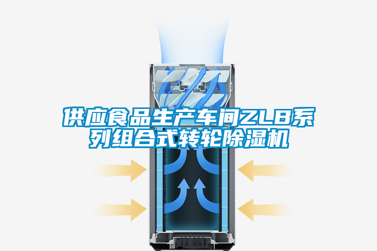 供應(yīng)食品生產(chǎn)車(chē)間ZLB系列組合式轉(zhuǎn)輪除濕機(jī)