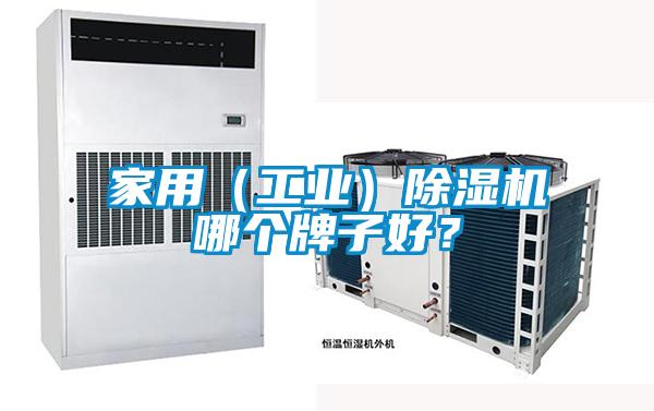 家用（工業(yè)）除濕機(jī)哪個(gè)牌子好？