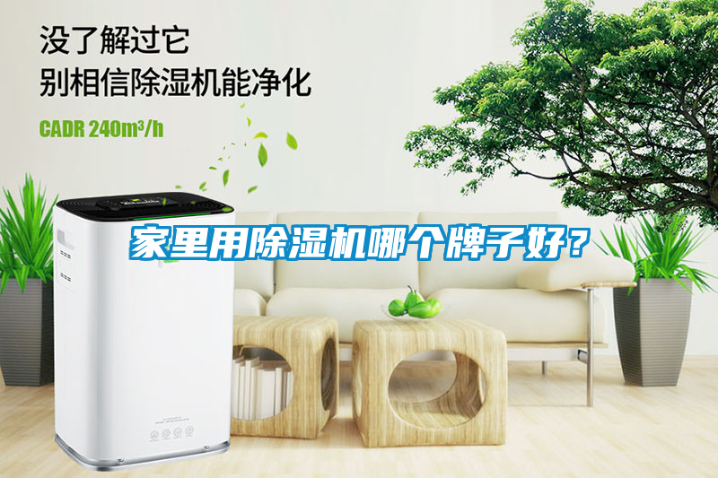 家里用除濕機(jī)哪個(gè)牌子好？