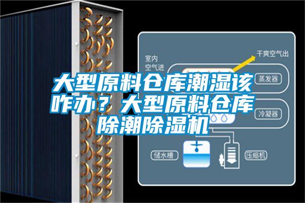 大型原料倉庫潮濕該咋辦？大型原料倉庫除潮除濕機(jī)