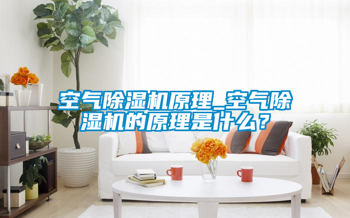 空氣除濕機原理_空氣除濕機的原理是什么？