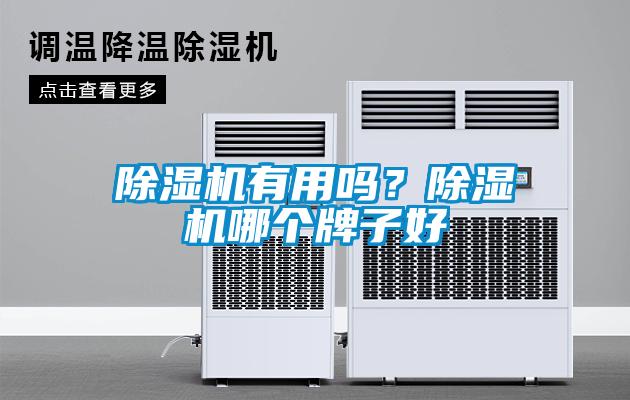 除濕機(jī)有用嗎？除濕機(jī)哪個(gè)牌子好