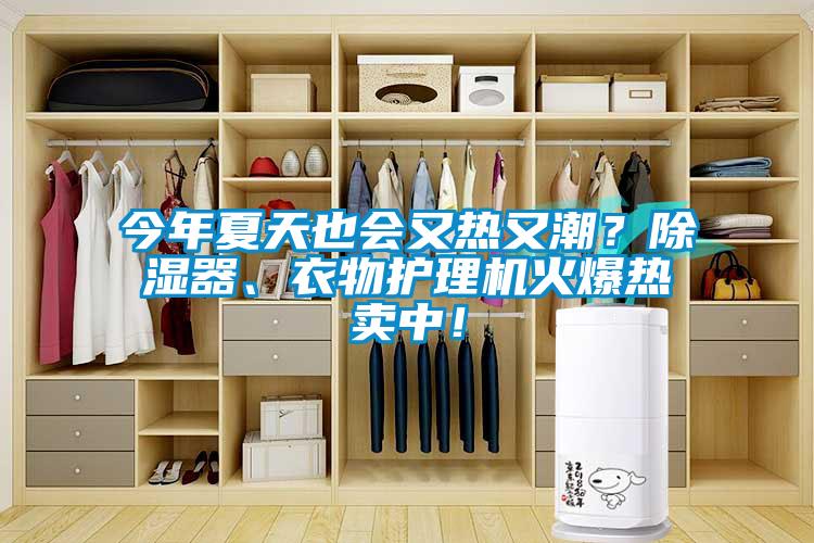 今年夏天也會又熱又潮？除濕器、衣物護理機火爆熱賣中！