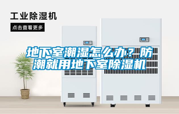 地下室潮濕怎么辦？防潮就用地下室除濕機(jī)