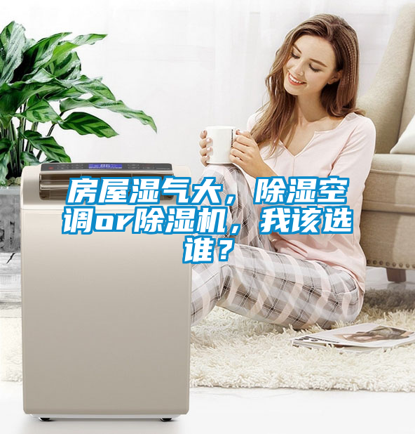 房屋濕氣大，除濕空調(diào)or除濕機(jī)，我該選誰(shuí)？