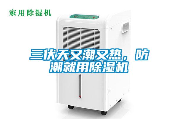 三伏天又潮又熱，防潮就用除濕機(jī)