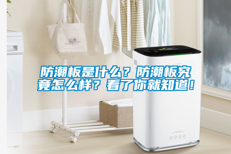 防潮板是什么？防潮板究竟怎么樣？看了你就知道！