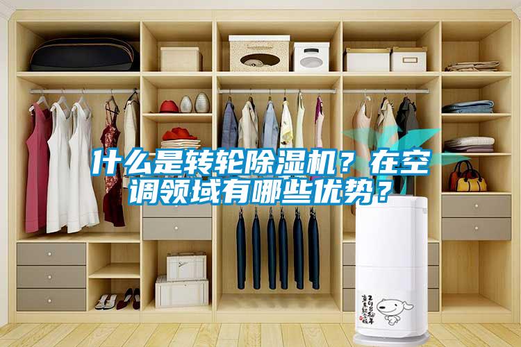什么是轉(zhuǎn)輪除濕機(jī)？在空調(diào)領(lǐng)域有哪些優(yōu)勢？