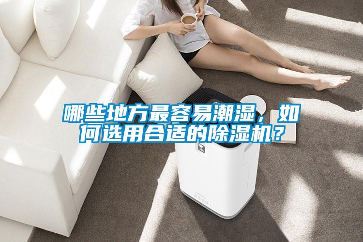 哪些地方最容易潮濕，如何選用合適的除濕機(jī)？