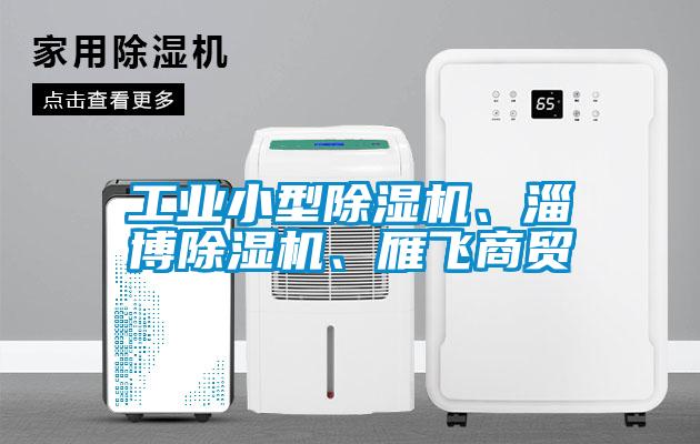 工業(yè)小型除濕機、淄博除濕機、雁飛商貿(mào)