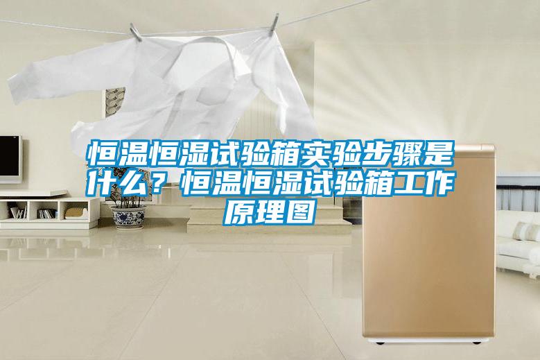 恒溫恒濕試驗(yàn)箱實(shí)驗(yàn)步驟是什么？恒溫恒濕試驗(yàn)箱工作原理圖