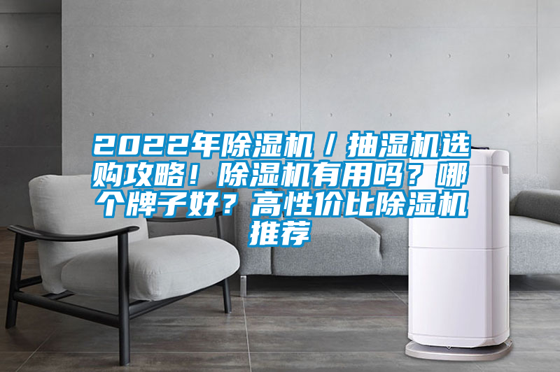 2022年除濕機(jī)／抽濕機(jī)選購(gòu)攻略！除濕機(jī)有用嗎？哪個(gè)牌子好？高性?xún)r(jià)比除濕機(jī)推薦