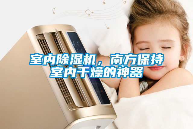室內除濕機，南方保持室內干燥的神器