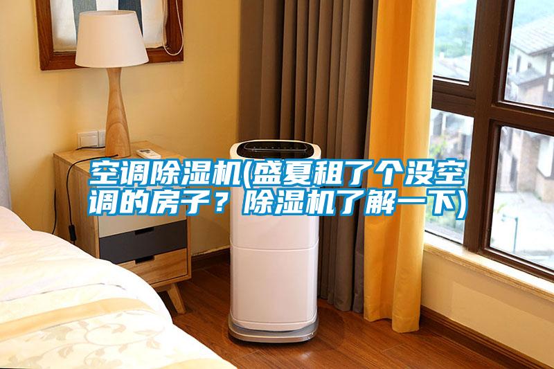 空調(diào)除濕機(盛夏租了個沒空調(diào)的房子？除濕機了解一下)