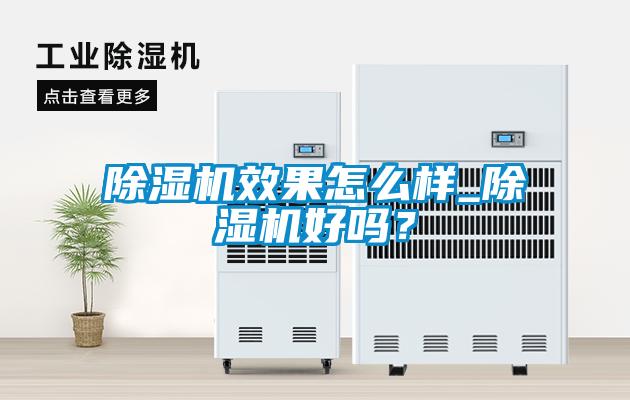 除濕機效果怎么樣_除濕機好嗎？