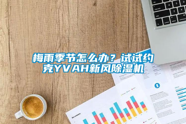 梅雨季節(jié)怎么辦？試試約克YVAH新風(fēng)除濕機(jī)