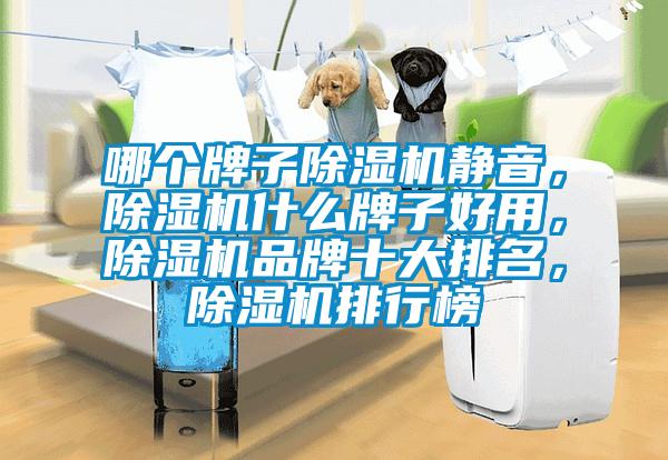 哪個(gè)牌子除濕機(jī)靜音，除濕機(jī)什么牌子好用，除濕機(jī)品牌十大排名，除濕機(jī)排行榜