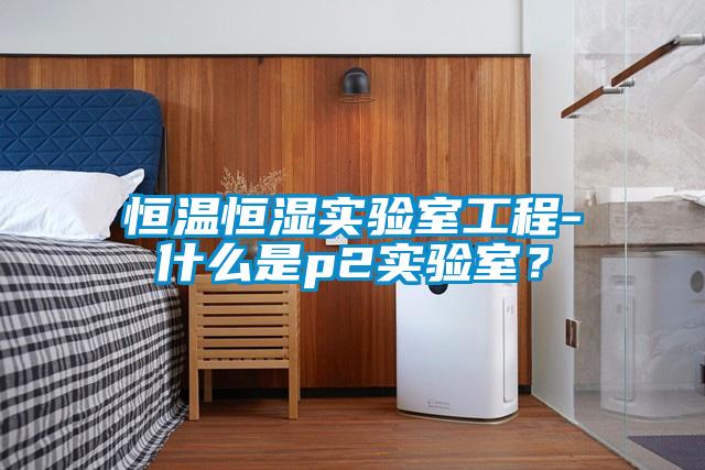 恒溫恒濕實(shí)驗室工程-什么是p2實(shí)驗室？