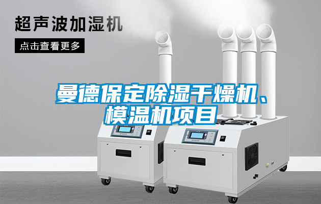 曼德保定除濕干燥機(jī)、模溫機(jī)項(xiàng)目