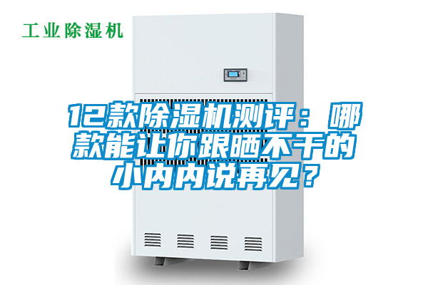 12款除濕機測評：哪款能讓你跟曬不干的小內(nèi)內(nèi)說再見？